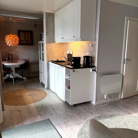 شقة Lofoten